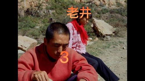 电影老井在线观看,探寻中国农村变迁的深情画卷